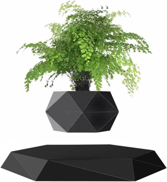 Planta em levitação – Uma decoração natural futurista + lote de plantas grátis